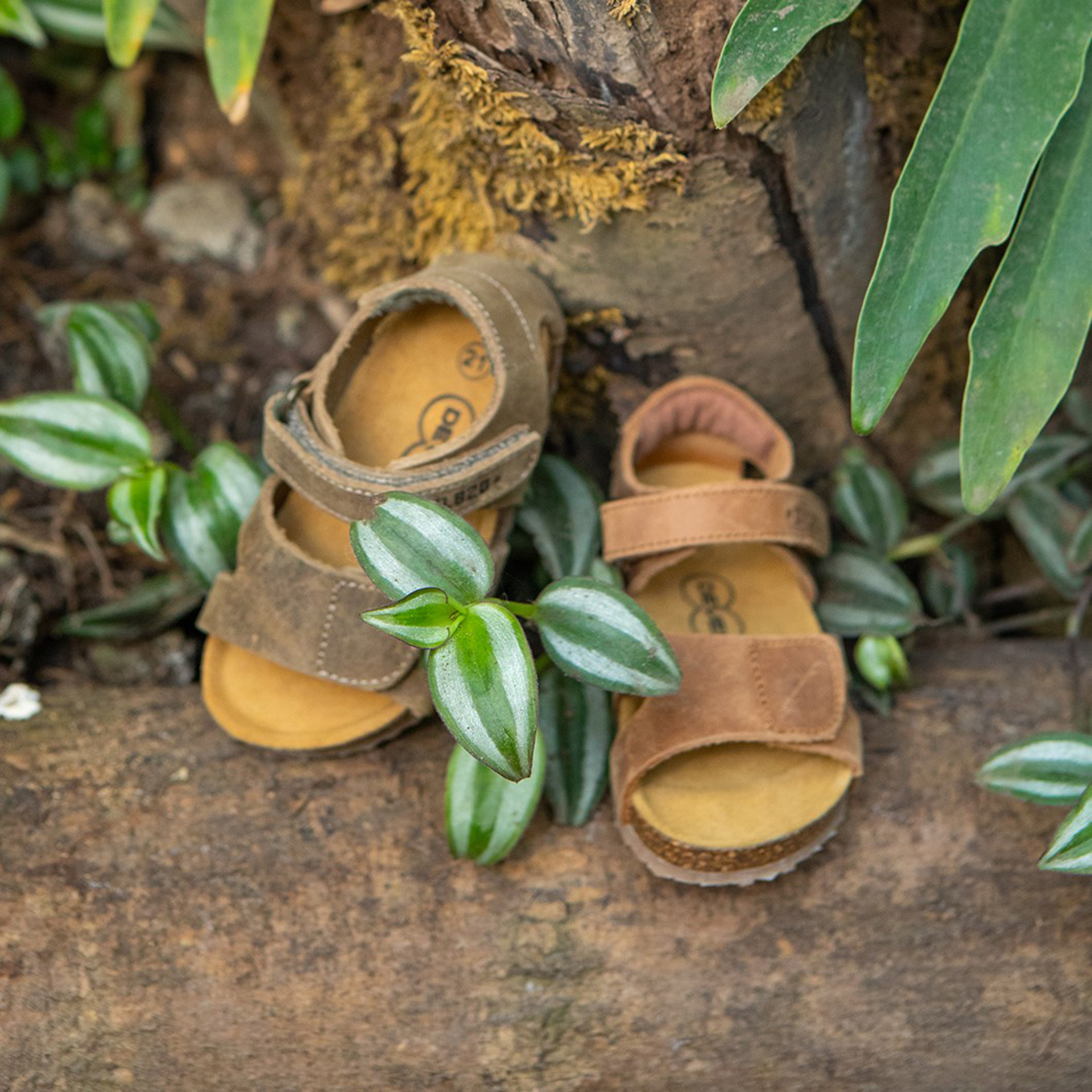 Groene Sandalen |  48289